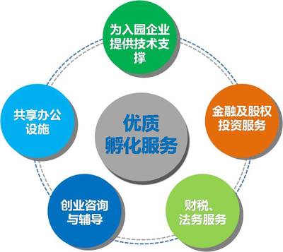 道滘華科城·創新島 晉升國家級孵化器培育單位，打造企業技術咨詢服務新高地
