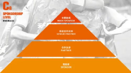 山東泰山開(kāi)放冠名權(quán)招商，開(kāi)啟品牌合作新篇章